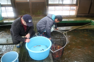 Zur Saisonvorbereitung 2012 und Kontrolle für Sie in Niigata.